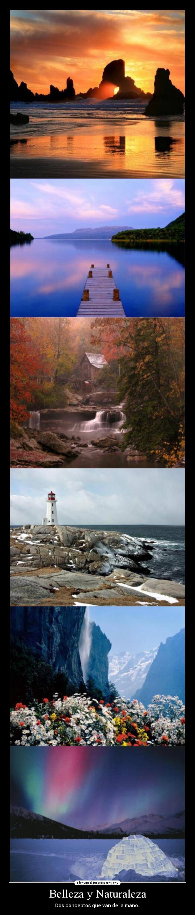 carteles naturaleza belleza naturaleza desmotivaciones