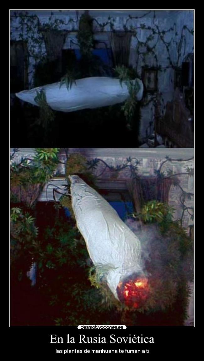 En la Rusia Soviética - 