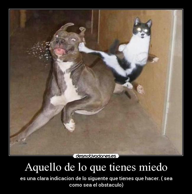 Aquello de lo que tienes miedo - es una clara indicacion de lo siguente que tienes que hacer. ( sea
como sea el obstaculo)