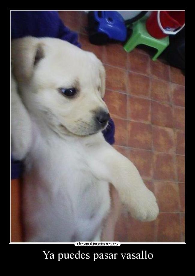 Ya puedes pasar vasallo -
