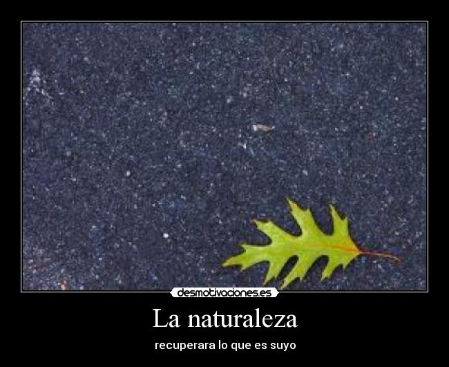La naturaleza -