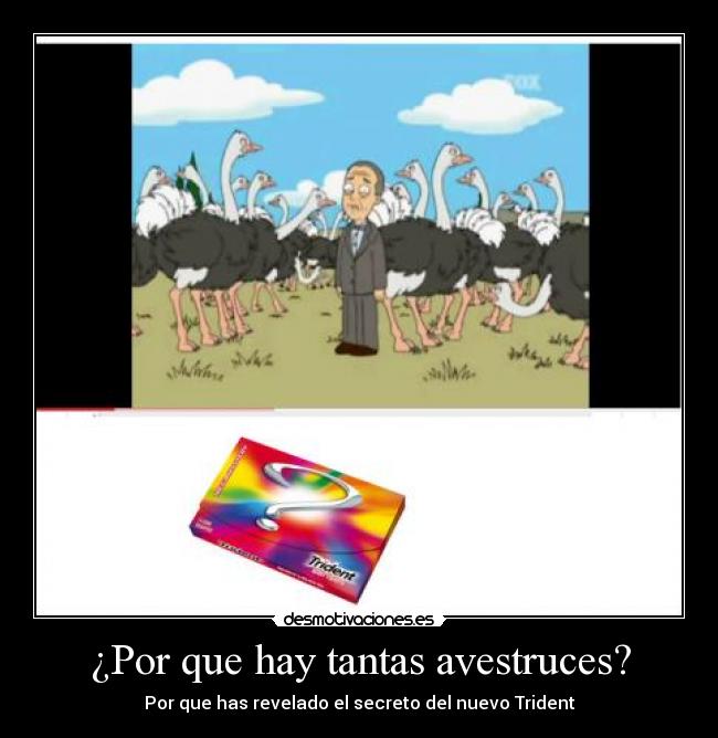 ¿Por que hay tantas avestruces? - 