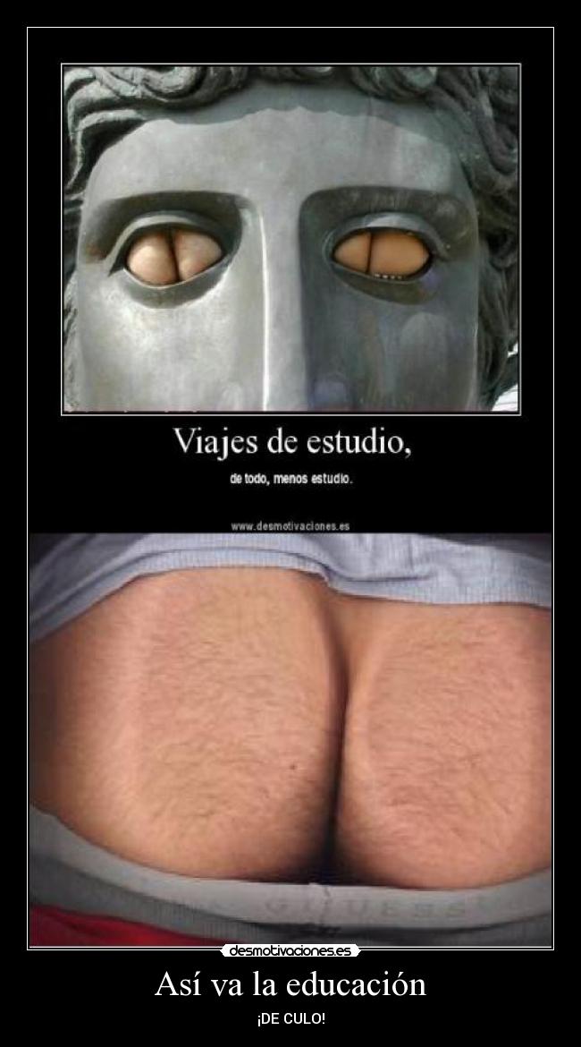 Así va la educación -