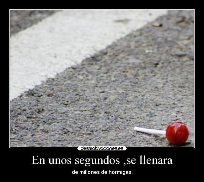 En unos segundos ,se llenara - de millones de hormigas.