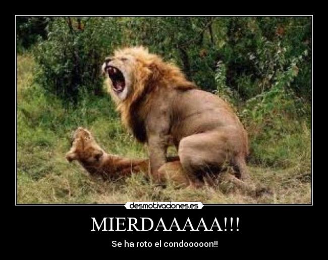 MIERDAAAAA!!! - Se ha roto el condooooon!!