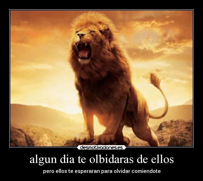 algun dia te olbidaras de ellos - 