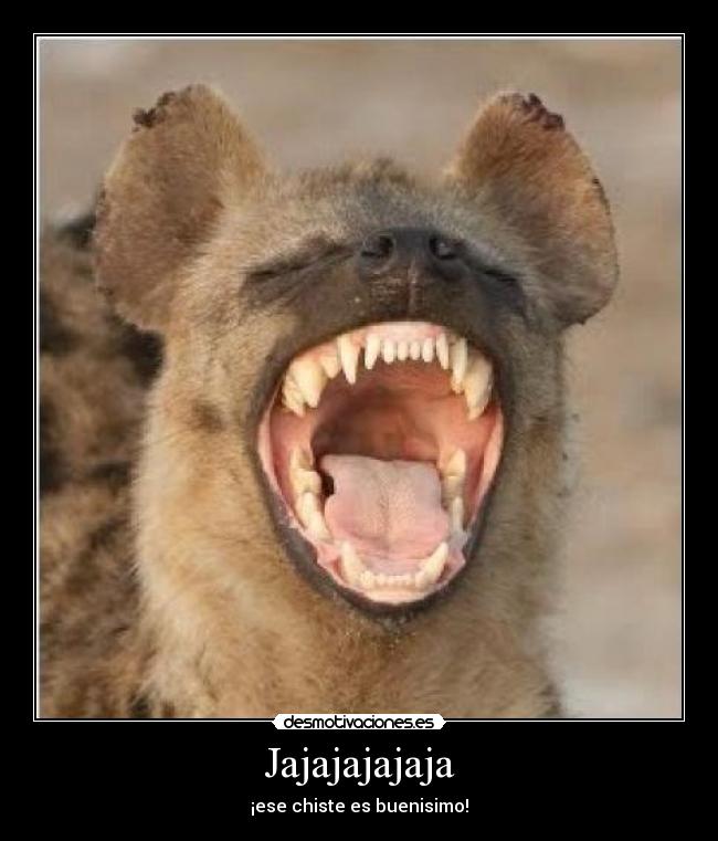 Jajajajajaja - ¡ese chiste es buenisimo!