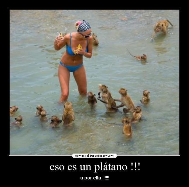 carteles sdfs desmotivaciones