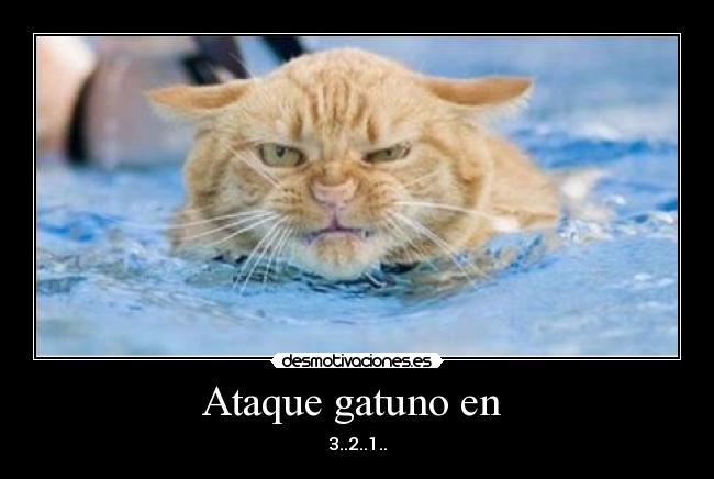 Ataque gatuno en -