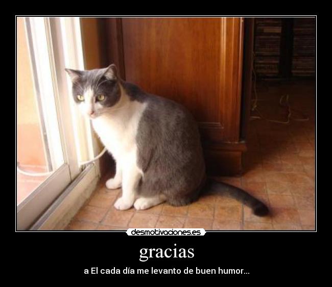 gracias - 