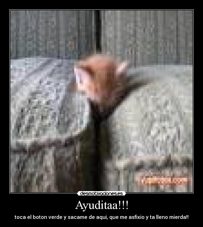Ayuditaa!!! - 
