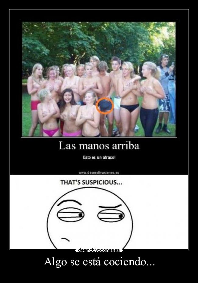 carteles algo cartel ereccion desmotivaciones