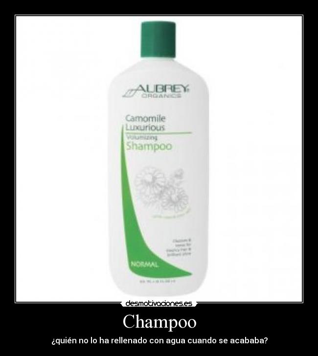 Champoo - ¿quién no lo ha rellenado con agua cuando se acababa?
