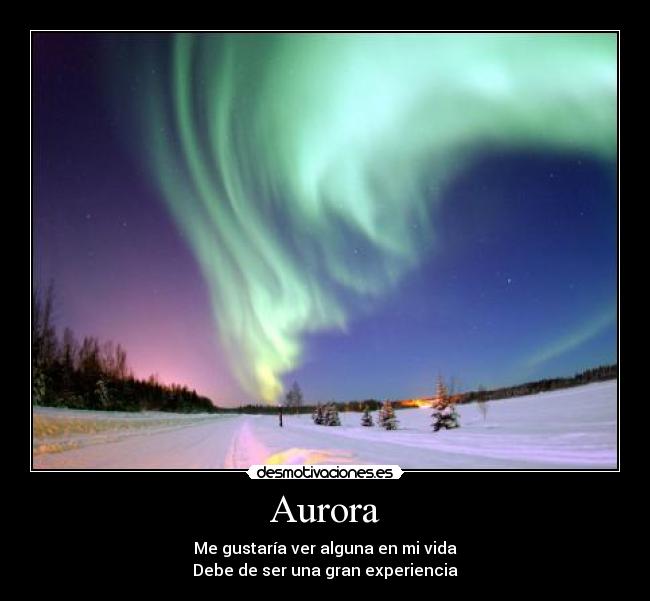Aurora - 