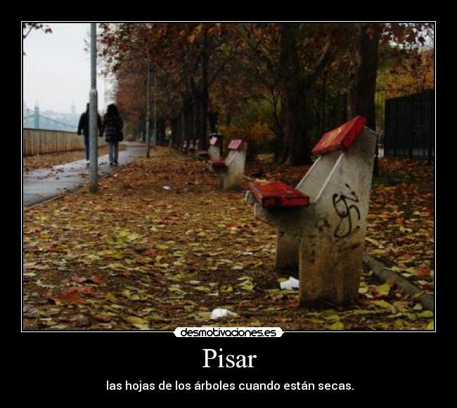 Pisar - 