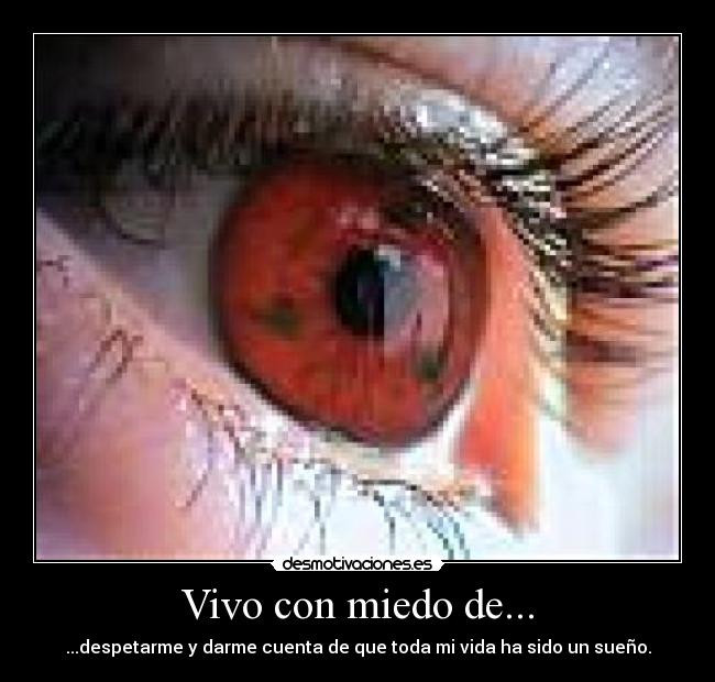 Vivo con miedo de... - ...despetarme y darme cuenta de que toda mi vida ha sido un sueño.