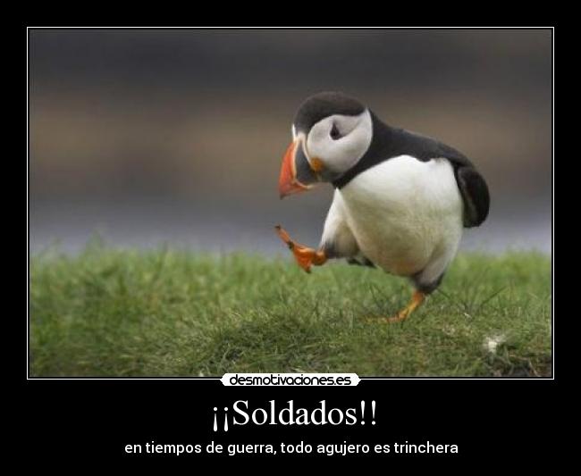 ¡¡Soldados!! - en tiempos de guerra, todo agujero es trinchera