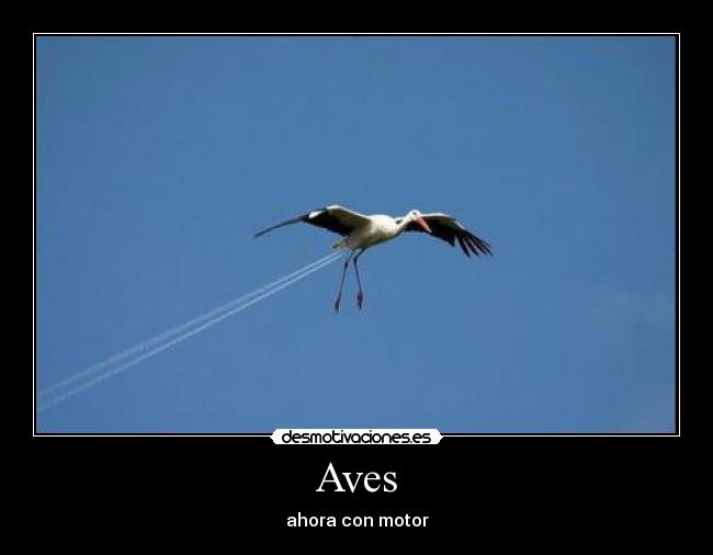 Aves - ahora con motor