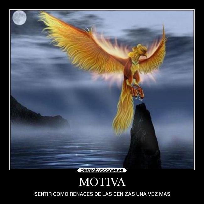 MOTIVA - 