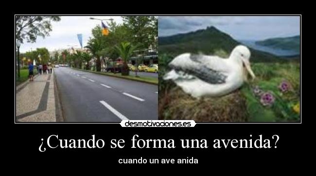 carteles taticaps desmotivaciones