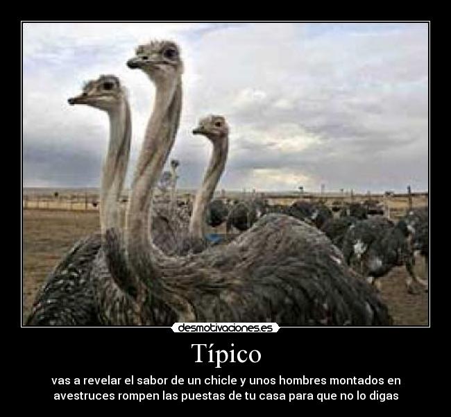Típico - 