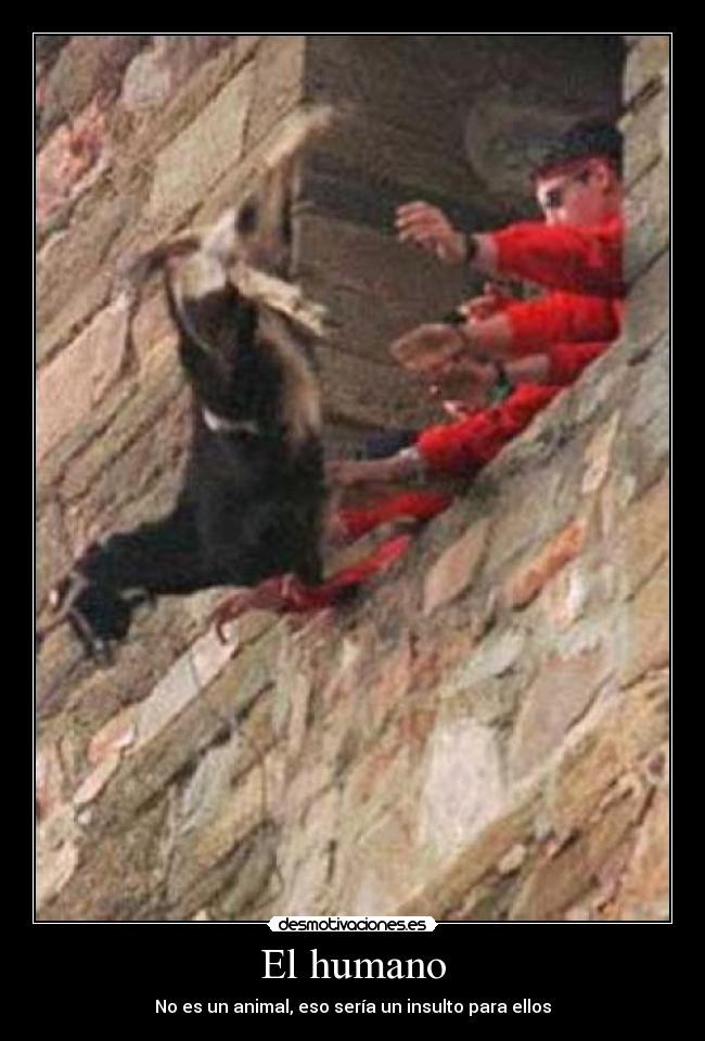 El humano - No es un animal, eso sería un insulto para ellos