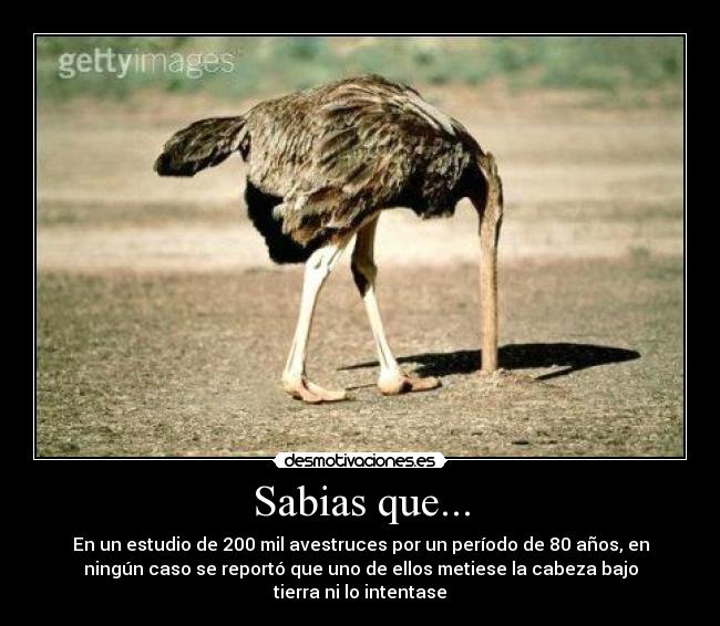 Sabias que... -