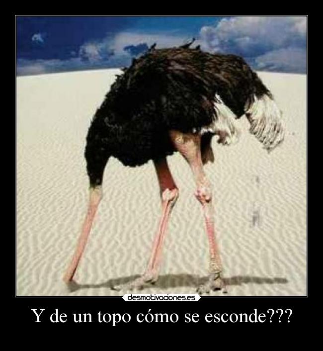Y de un topo cómo se esconde??? -