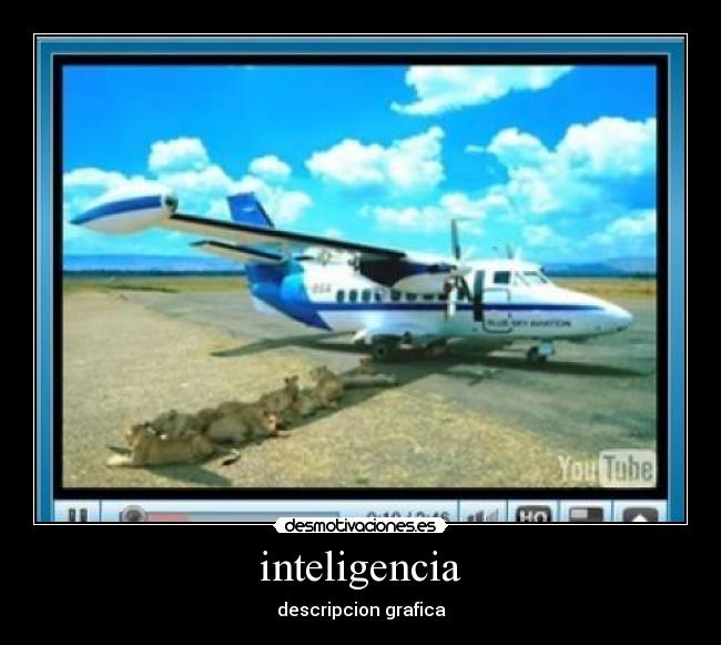 carteles inteligencia desmotivaciones