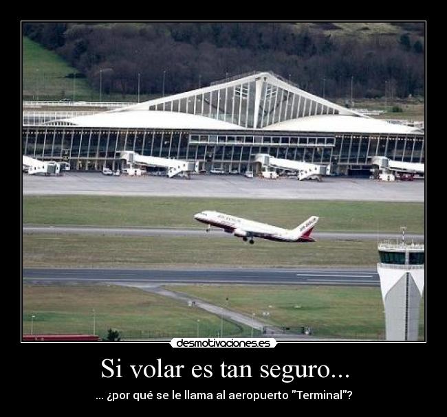 Si volar es tan seguro... -