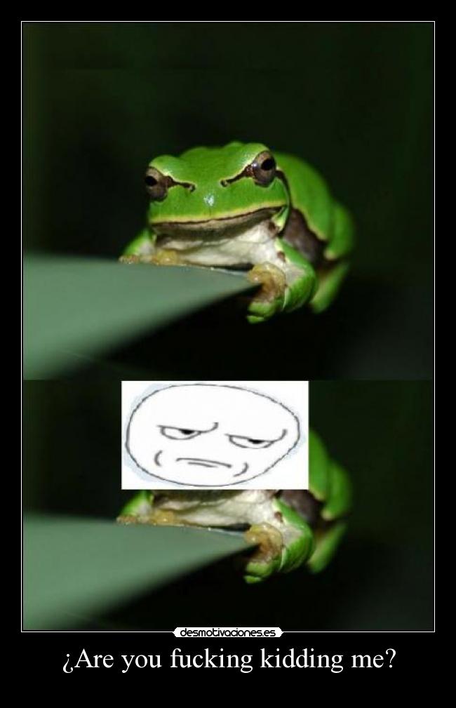 ¿Are you fucking kidding me? - 