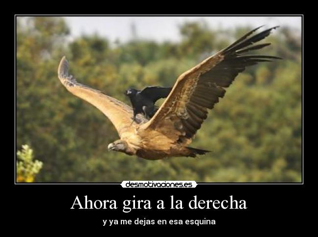 Ahora gira a la derecha - y ya me dejas en esa esquina