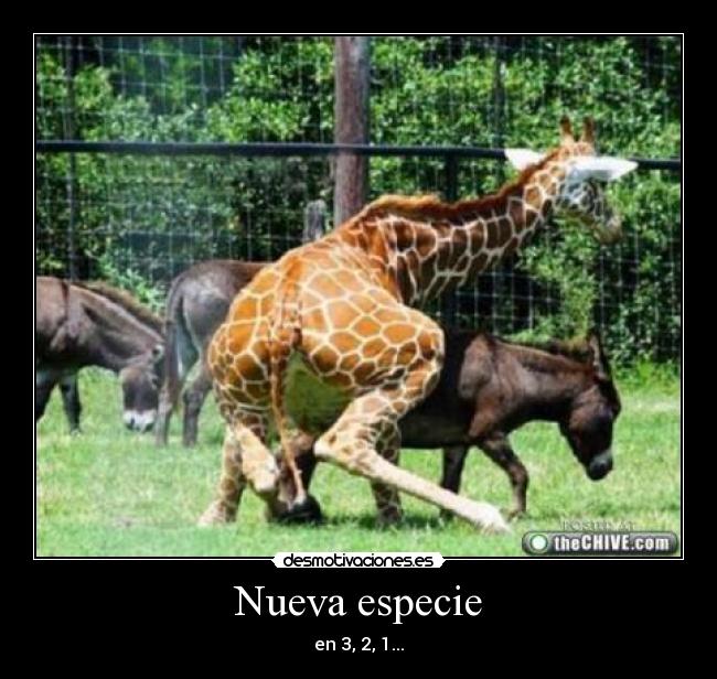 Nueva especie - en 3, 2, 1...