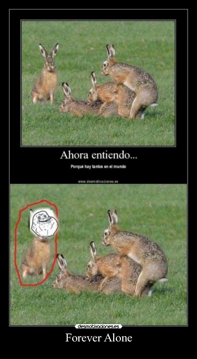 Forever Alone -