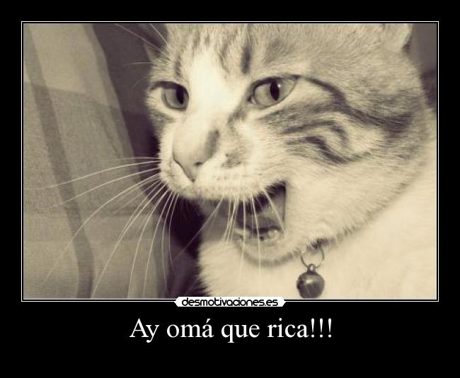 Ay omá que rica!!! -