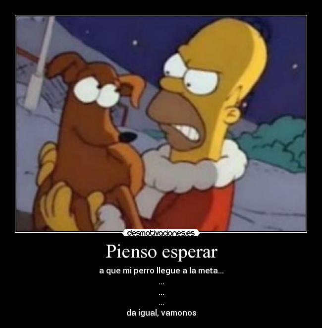 Pienso esperar - a que mi perro llegue a la meta...
...
...
...
da igual, vamonos