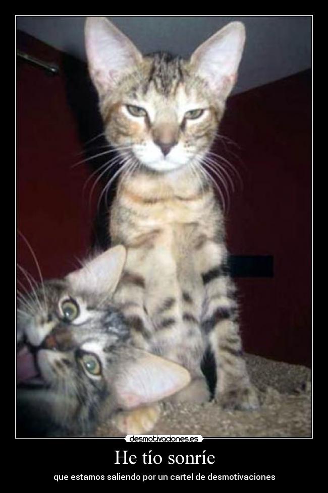 He tío sonríe - 