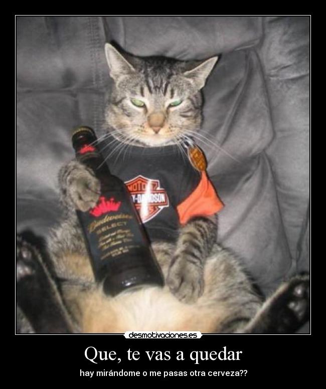 Que, te vas a quedar -