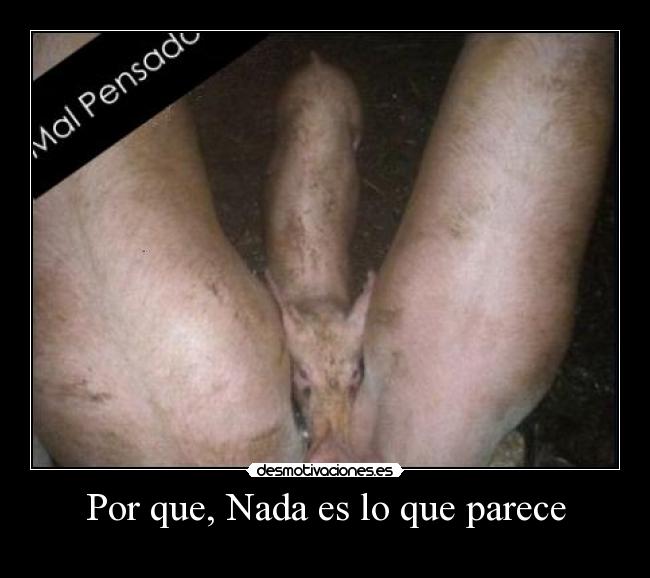 Por que, Nada es lo que parece -