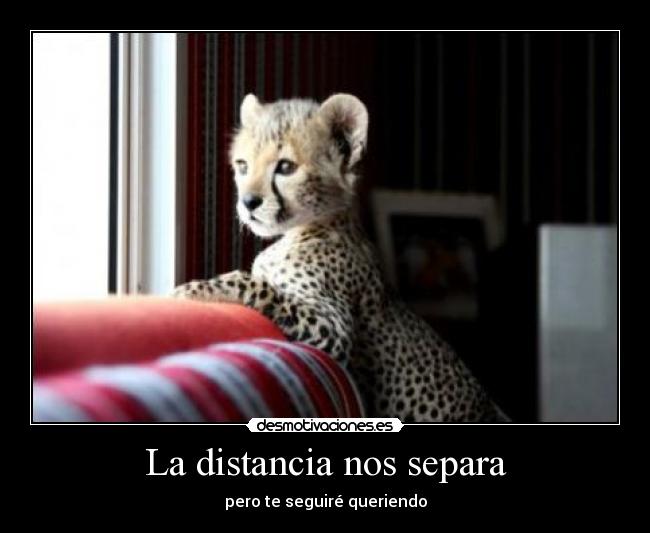 La distancia nos separa - pero te seguiré queriendo