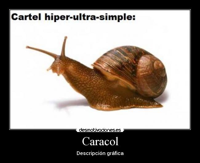 carteles caracol desmotivaciones