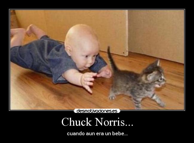 Chuck Norris... -
