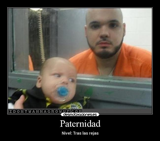 Paternidad - 