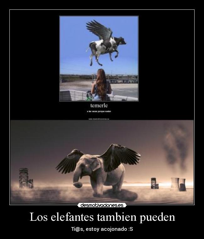 Los elefantes tambien pueden - Ti@s, estoy acojonado :S