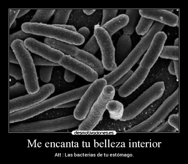 Me encanta tu belleza interior -