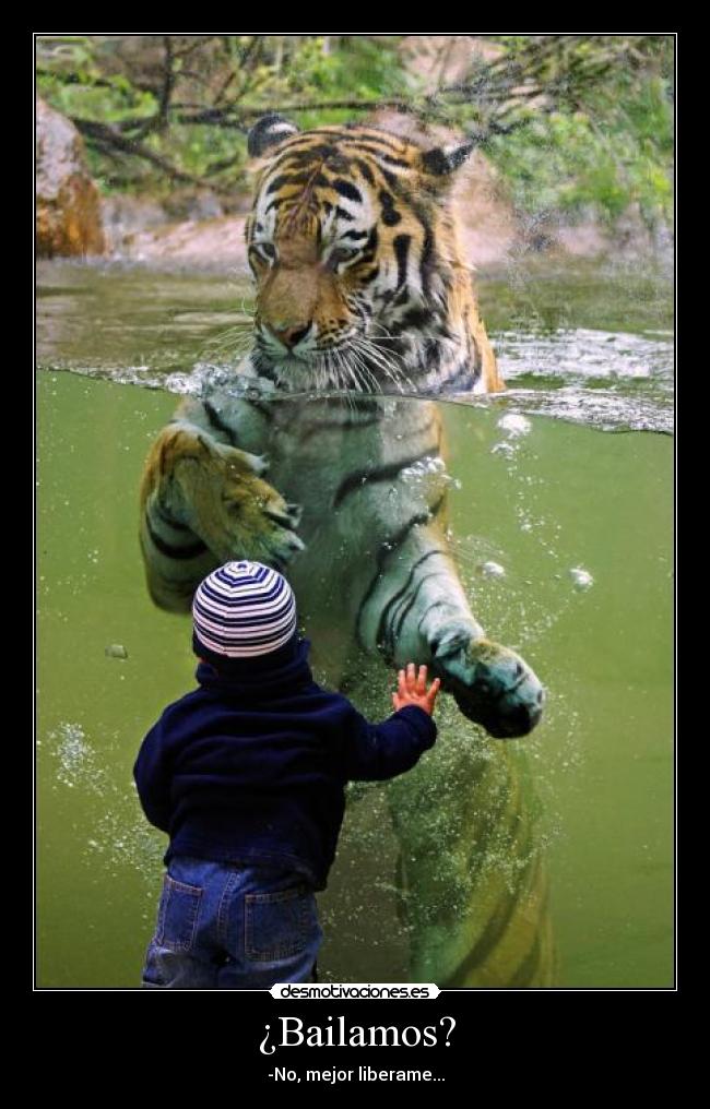 ¿Bailamos? - -No, mejor liberame...