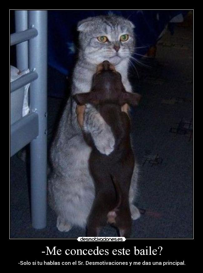 -Me concedes este baile? - -Solo si tu hablas con el Sr. Desmotivaciones y me das una principal.