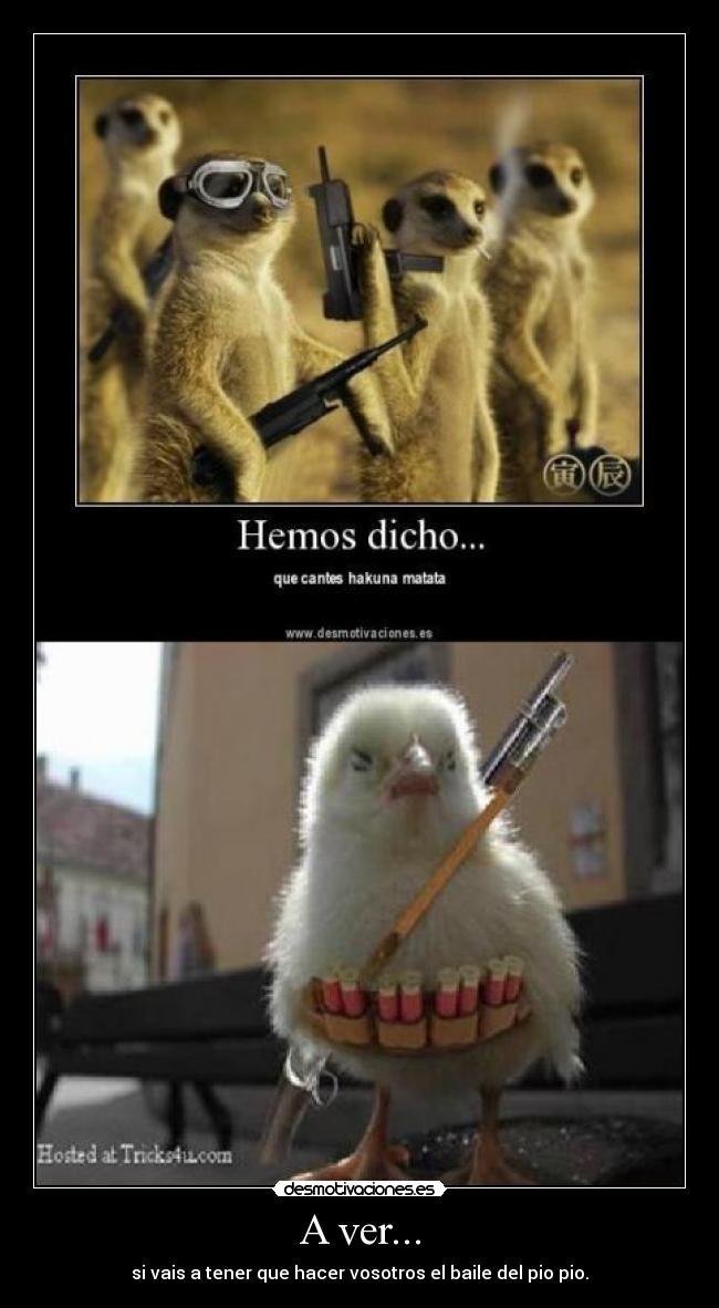 A ver... - si vais a tener que hacer vosotros el baile del pio pio.