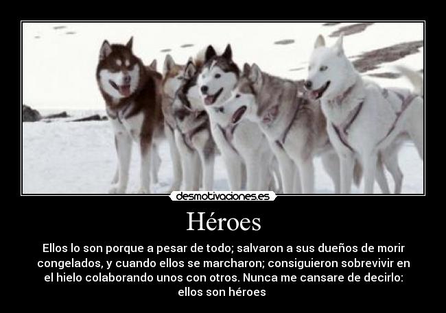 Héroes - Ellos lo son porque a pesar de todo; salvaron a sus dueños de morir
congelados, y cuando ellos se marcharon; consiguieron sobrevivir en
el hielo colaborando unos con otros. Nunca me cansare de decirlo:
ellos son héroes