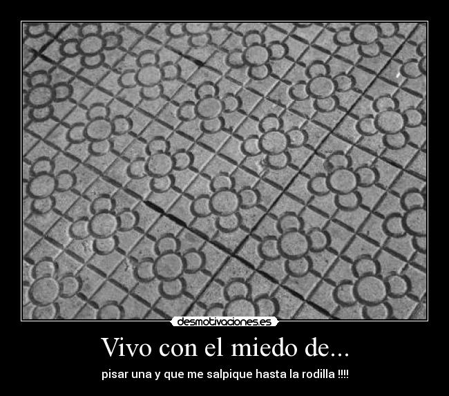 Vivo con el miedo de... - pisar una y que me salpique hasta la rodilla !!!!